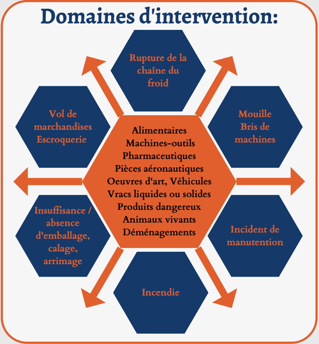 Schéma des domaines d'intervention : marchandises au centre, entourées des types de sinistres (rupture de la chaîne du froid, mouille, bris de machine, incident de manutention, incendie, insuffisance d'emballage, vol).